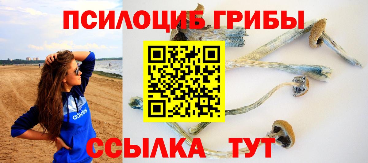 Галлюциногенные грибы Psilocybe  Вход с VPN  Псилоцибиновые грибы мицелий  Видное 