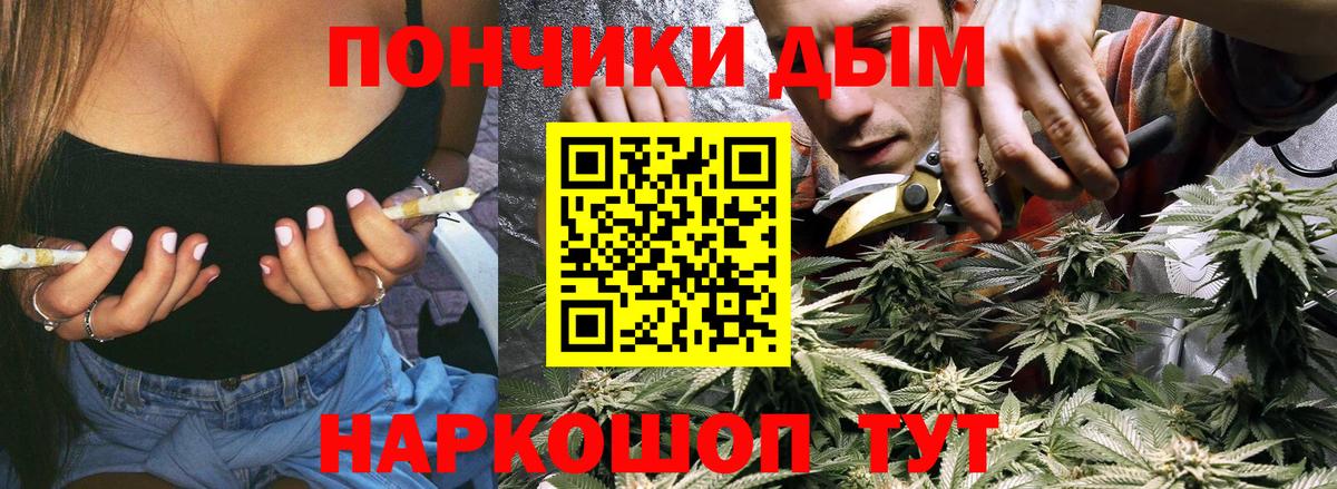Шишки марихуана тримм  Вход с VPN  Видное  Канабис планчик  Конопля White Widow  Конопля планчик 